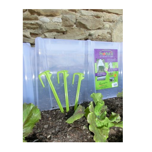 Sachet 10 piquets de tunnel "Pic'vert" ANIS