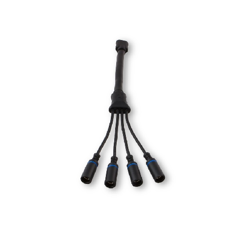 cable Anderson vers sortie 8 mm