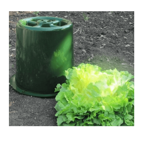 Cloche modulo à blanchir